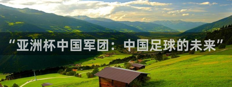 世界杯预选赛2026：“亚洲杯中国军团：中国足球的未来”