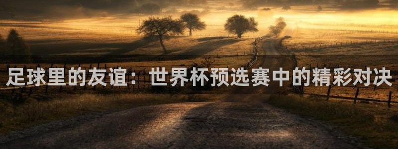 2026世界杯赛程时间表最新：足球里的友谊：世界杯预选赛中的精彩对决