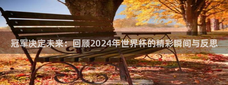 世界杯系列赛：冠军决定未来：回顾2024年世界杯的精彩瞬间与反思