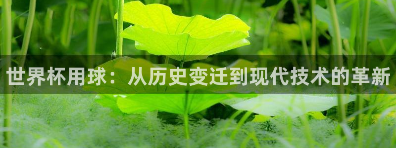 2026男足世界杯赛程：世界杯用球：从历史变迁到现代技术的革新