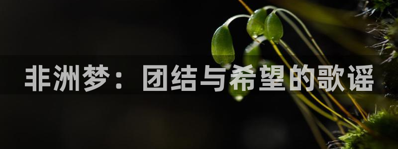 世界杯2026比赛时间表：非洲梦：团结与希望的歌谣