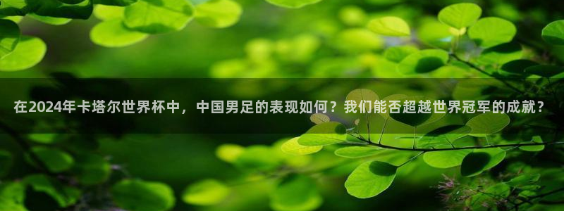 世界杯球队排名:在2024年卡塔尔世界杯中,中国男足的表现如何?我们能否超越世界冠军的成就?