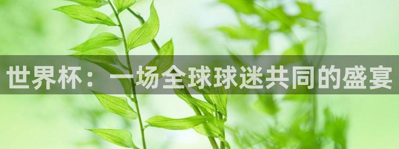 2026世界杯欧洲预选赛赛程表：世界杯：一场全球球迷共同的盛宴