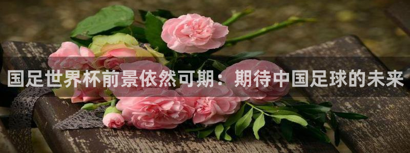 2026世界杯德国队阵容：国足世界杯前景依然可期：期待中国足球的未来