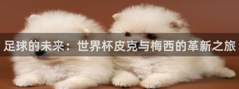 世界杯决赛直播：足球的未来：世界杯皮克与梅西的革新之旅
